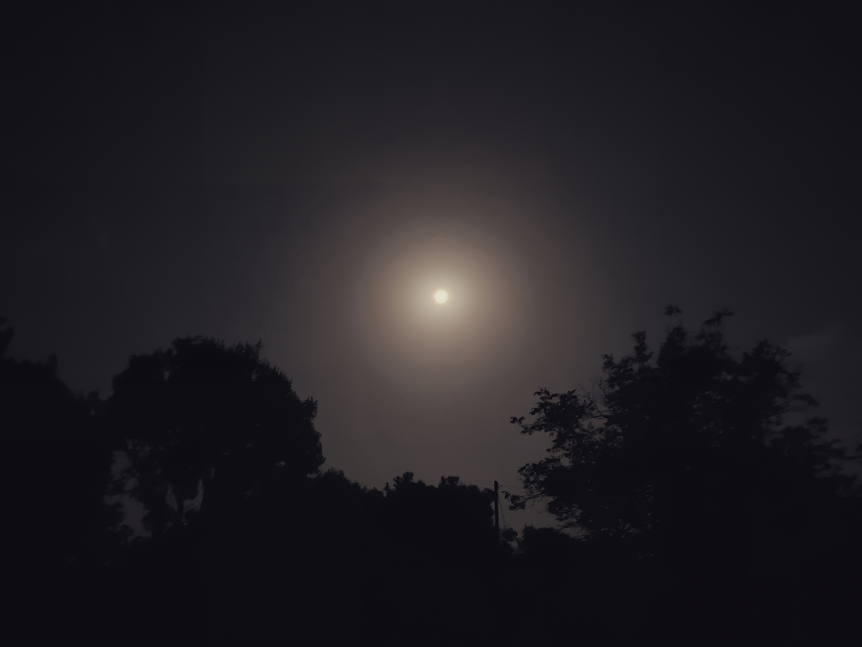 meteor echo